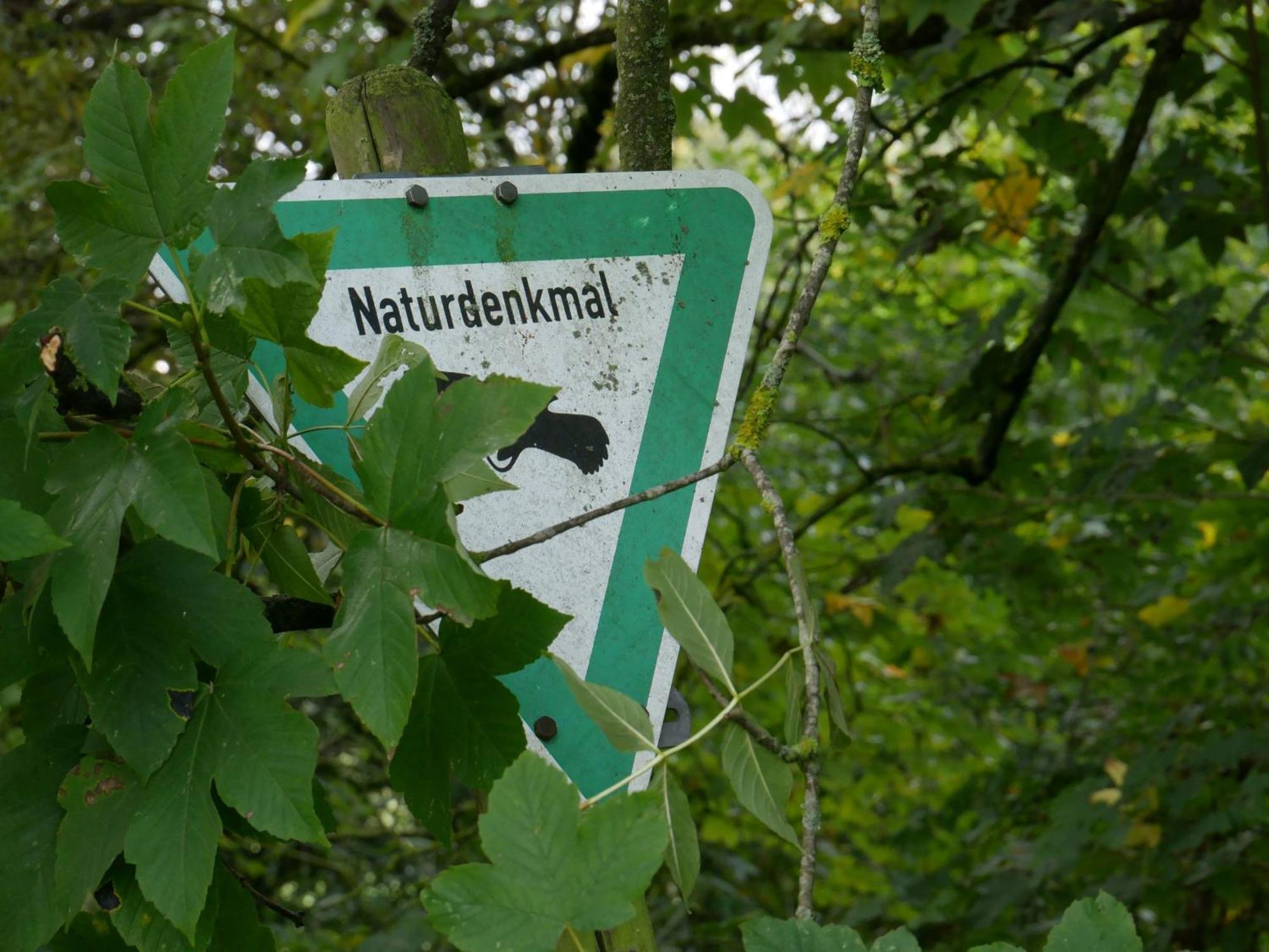 Ferienwohnungen Knodel Sachsenheim Exterior photo